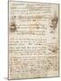 Page from the Codex Regarding the Flight of Birds-Leonardo da Vinci-Mounted Giclee Print