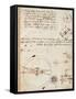 Page from the Codex Regarding the Flight of Birds-Leonardo da Vinci-Framed Stretched Canvas