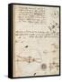 Page from the Codex Regarding the Flight of Birds-Leonardo da Vinci-Framed Stretched Canvas