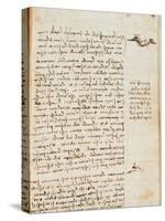 Page from the Codex Regarding the Flight of Birds-Leonardo da Vinci-Stretched Canvas