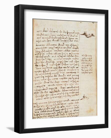 Page from the Codex Regarding the Flight of Birds-Leonardo da Vinci-Framed Giclee Print