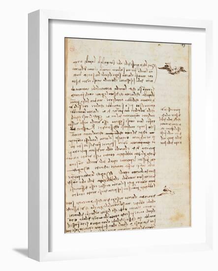 Page from the Codex Regarding the Flight of Birds-Leonardo da Vinci-Framed Giclee Print