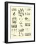 Page from the Pictorial Museum of Animated Nature-null-Framed Giclee Print