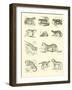 Page from the Pictorial Museum of Animated Nature-null-Framed Giclee Print