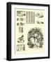 Page from the Pictorial Museum of Animated Nature-null-Framed Giclee Print