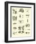 Page from the Pictorial Museum of Animated Nature-null-Framed Giclee Print