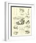 Page from the Pictorial Museum of Animated Nature-null-Framed Giclee Print