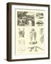 Page from the Pictorial Museum of Animated Nature-null-Framed Giclee Print