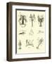 Page from the Pictorial Museum of Animated Nature-null-Framed Premium Giclee Print