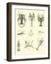 Page from the Pictorial Museum of Animated Nature-null-Framed Giclee Print