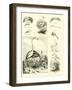 Page from the Pictorial Museum of Animated Nature-null-Framed Giclee Print