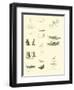 Page from the Pictorial Museum of Animated Nature-null-Framed Giclee Print