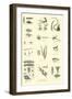 Page from the Pictorial Museum of Animated Nature-null-Framed Giclee Print