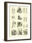 Page from the Pictorial Museum of Animated Nature-null-Framed Giclee Print