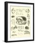 Page from the Pictorial Museum of Animated Nature-null-Framed Giclee Print