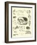 Page from the Pictorial Museum of Animated Nature-null-Framed Giclee Print