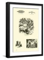 Page from the Pictorial Museum of Animated Nature-null-Framed Giclee Print