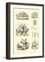 Page from the Pictorial Museum of Animated Nature-null-Framed Giclee Print