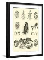 Page from the Pictorial Museum of Animated Nature-null-Framed Giclee Print