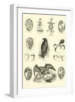 Page from the Pictorial Museum of Animated Nature-null-Framed Giclee Print