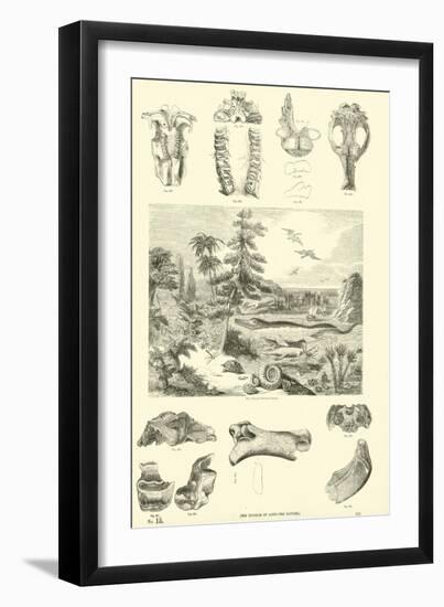 Page from the Pictorial Museum of Animated Nature-null-Framed Giclee Print