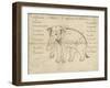 Page of a Manuscript on Elephant Training, Early 20th Century-null-Framed Giclee Print