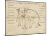 Page of a Manuscript on Elephant Training, Early 20th Century-null-Mounted Giclee Print