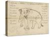 Page of a Manuscript on Elephant Training, Early 20th Century-null-Stretched Canvas