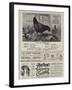 Page of Advertisements-null-Framed Giclee Print