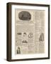 Page of Advertisements-null-Framed Giclee Print