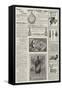 Page of Advertisements-null-Framed Stretched Canvas