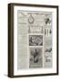 Page of Advertisements-null-Framed Giclee Print