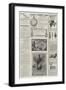 Page of Advertisements-null-Framed Giclee Print