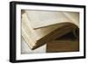 Page Turner-Jessica Rogers-Framed Giclee Print