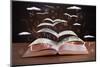 Pages and Glowing Letters Flying out of a Book on Wooden Deck-ra2studio-Mounted Photographic Print