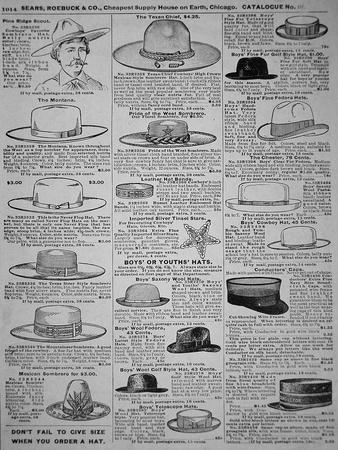 https://imgc.allpostersimages.com/img/posters/pages-from-sears-roebuck-of-chicago-catalogue-of-1902_u-L-Q1NHETL0.jpg?artPerspective=n