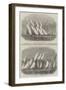 Paglesham Regatta-Edwin Weedon-Framed Giclee Print