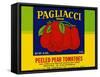 Pagliacci Brand Peeled Pear Tomatoes-null-Framed Stretched Canvas