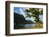 Pago Pago Bay, Tutuila Island, American Samoa, South Pacific-Michael Runkel-Framed Photographic Print