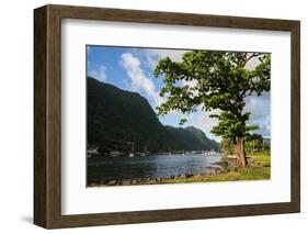 Pago Pago Bay, Tutuila Island, American Samoa, South Pacific-Michael Runkel-Framed Photographic Print