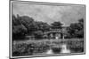 Pagoda Along the Waterfront West Lake, Hangzhou-Darrell Gulin-Mounted Premium Photographic Print