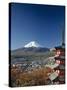Pagoda and Mount Fuji, Honshu, Japan-null-Stretched Canvas