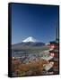 Pagoda and Mount Fuji, Honshu, Japan-null-Framed Stretched Canvas