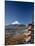 Pagoda and Mount Fuji, Honshu, Japan-null-Mounted Premium Photographic Print