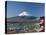 Pagoda and Mount Fuji, Honshu, Japan-null-Stretched Canvas