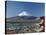 Pagoda and Mount Fuji, Honshu, Japan-null-Stretched Canvas