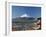 Pagoda and Mount Fuji, Honshu, Japan-null-Framed Photographic Print