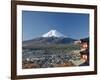 Pagoda and Mount Fuji, Honshu, Japan-null-Framed Photographic Print