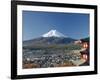 Pagoda and Mount Fuji, Honshu, Japan-null-Framed Photographic Print