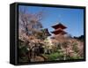 Pagoda at Kiyomizu Temple (Kiyomizudera), Kyoto, Japan-null-Framed Stretched Canvas